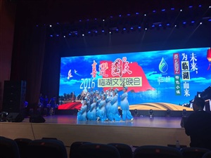 2016臨湖文藝晚會(huì)