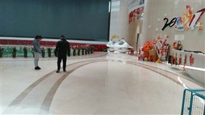 萬達(dá)2017新春案包裝